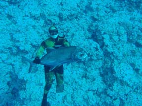 Spearfishing GT